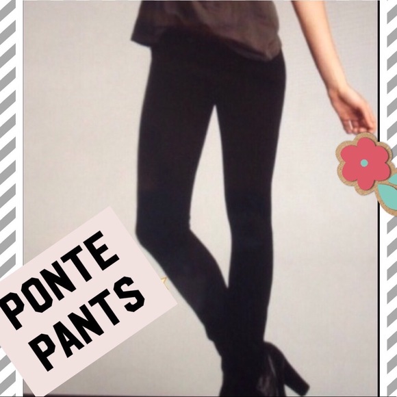 My Tribe Pants - MYTRIBE PONTE PANT